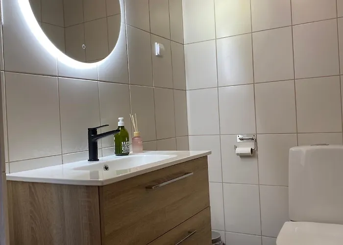 Hirsihuvila Kolilla, Lumme Villa Hattusaari